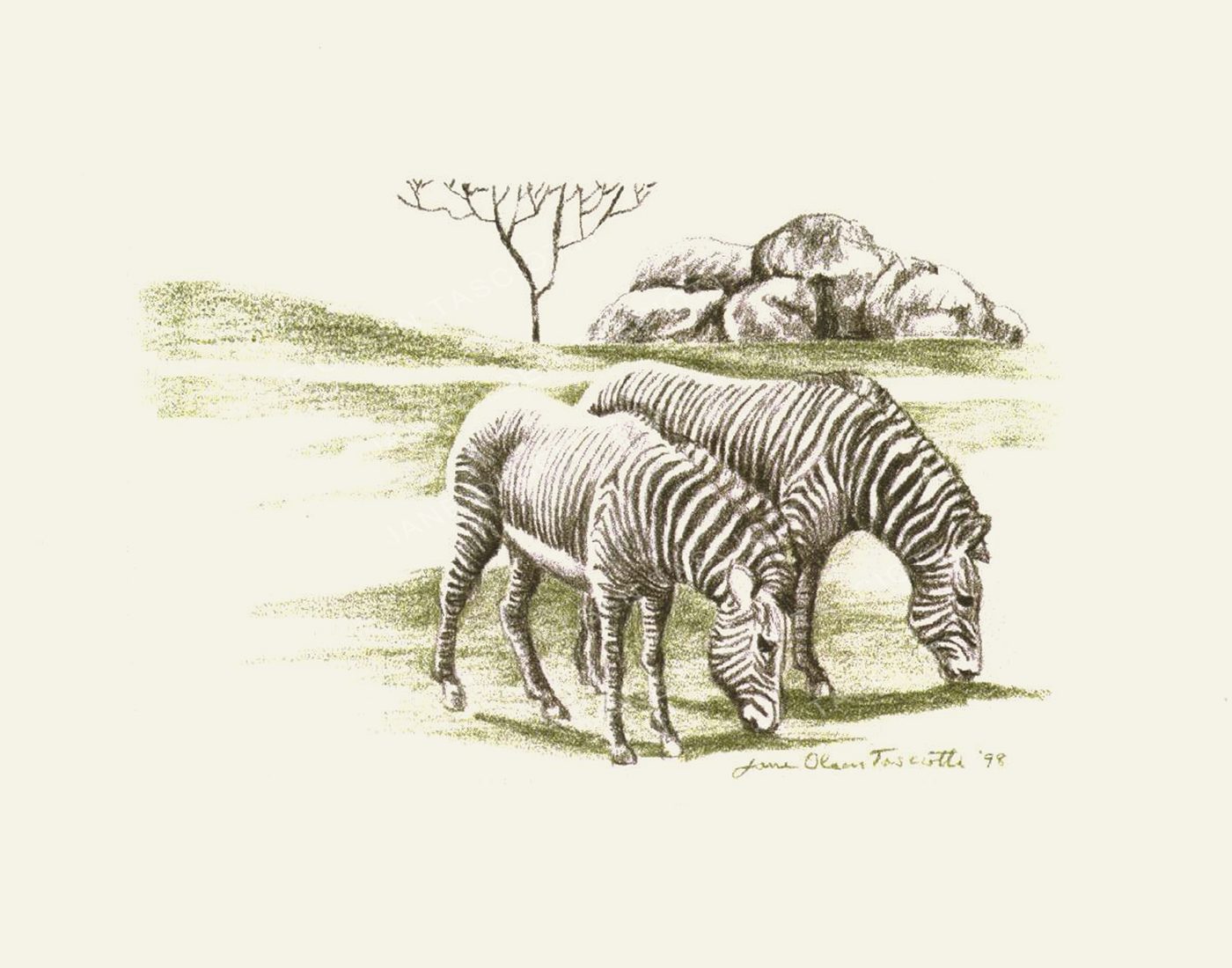 Drawing of two zebras grazing on the savanna
